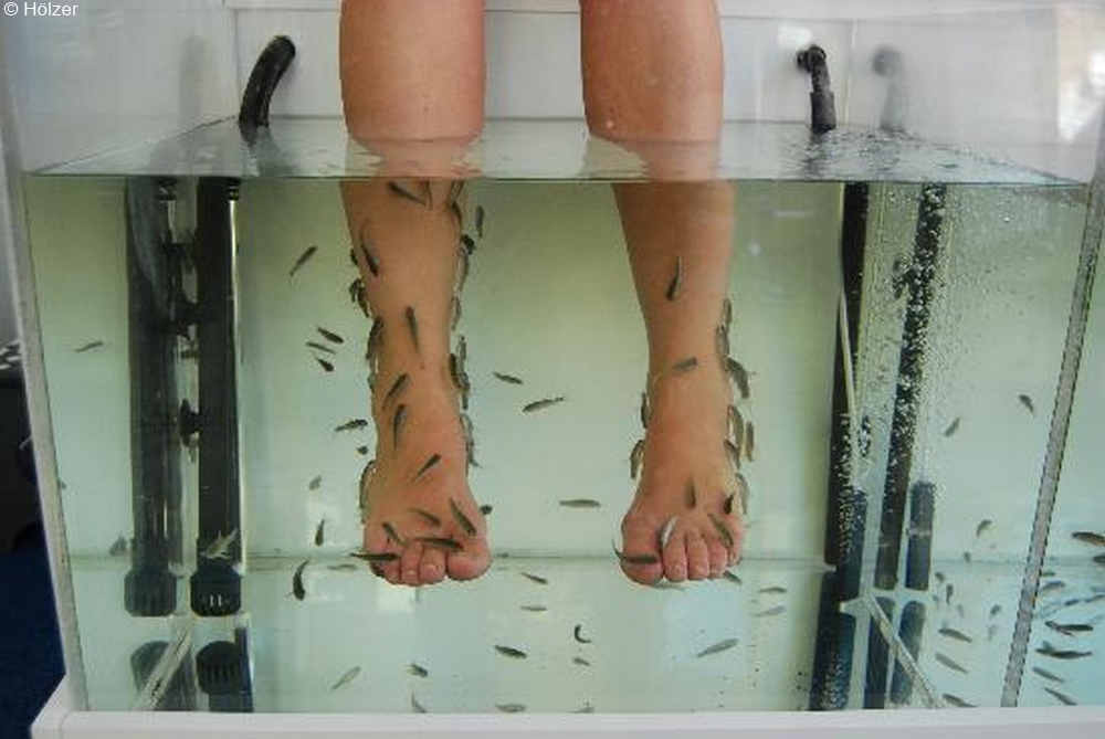 1000-doctor-fish-foot-spa.jpg